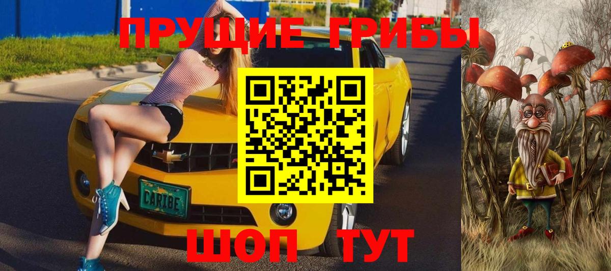 Псилоцибиновые грибы GOLDEN TEACHER Донской