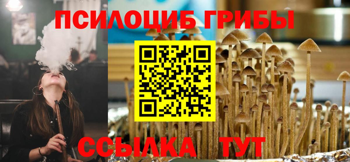 Донской  Псилоцибиновые грибы Magic Shrooms  Вход с VPN 