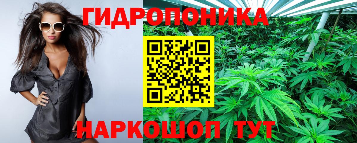 Донской  Конопля тримм  Каннабис семена  Вход с VPN  Бошки Шишки план  Бошки Шишки Amnesia 